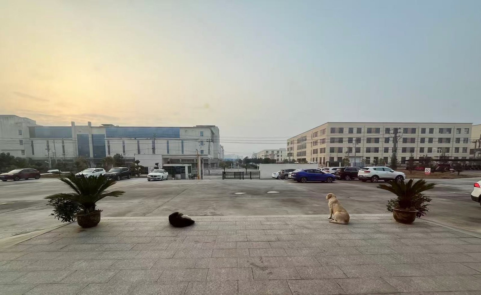 Company-supplied view across the manufacturing campus courtyard