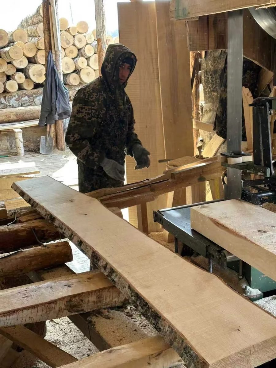 Birch sawing recorded during company procurement activity in Russia